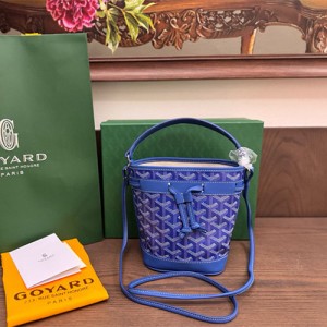 고야드 쁘띠플로 미니 숄더백 GY51551-6 2026/신상